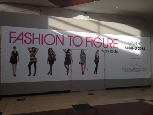 Fashion to Figure 2