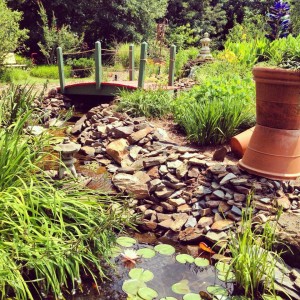 AG Center Garden