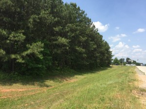 Looking from Hwy 61 South towards the north by Hickory Level Rd. Directly Across from Walmart and QT.