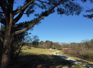 Greenbelt Trail - Jonathan Dockery